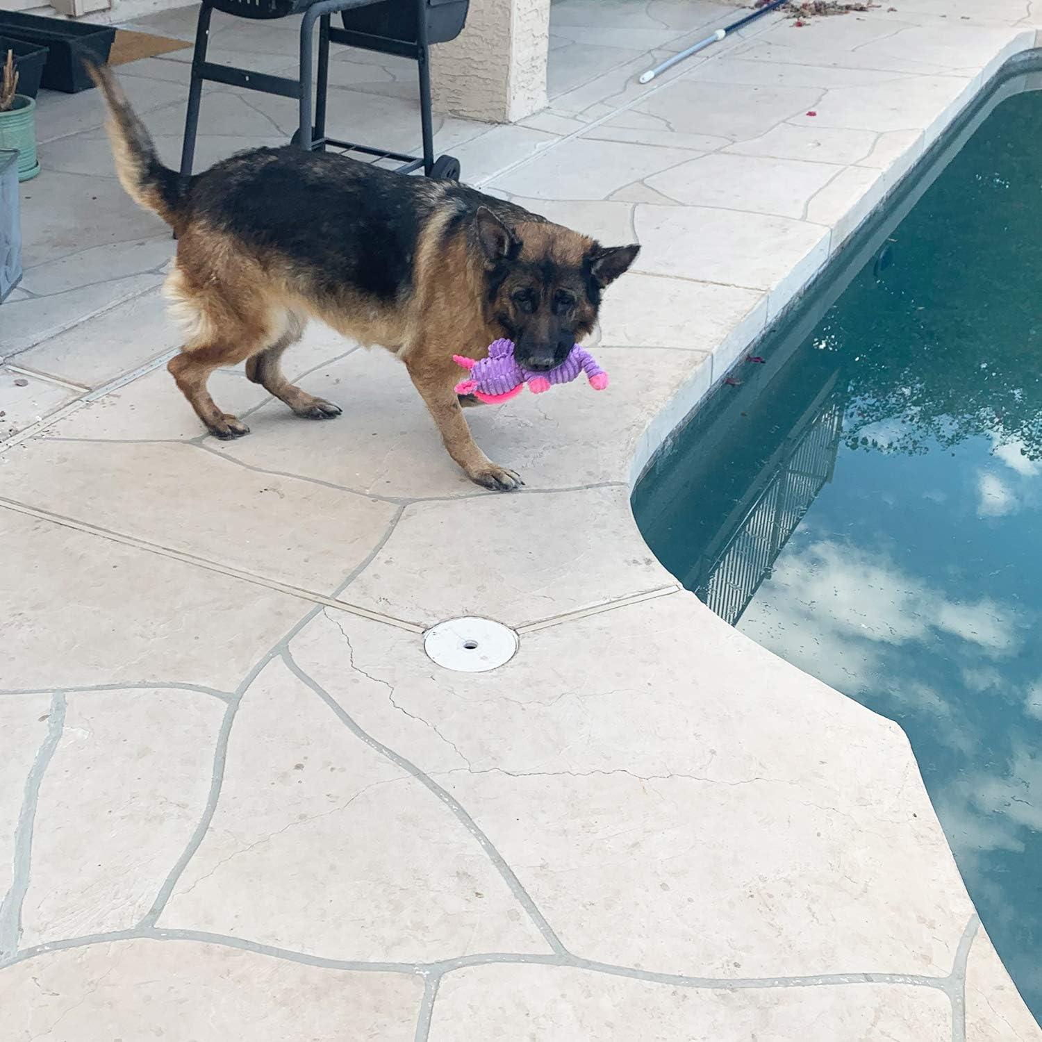 Paquete de 5 Juguetes de Peluche Jalousie para Perros