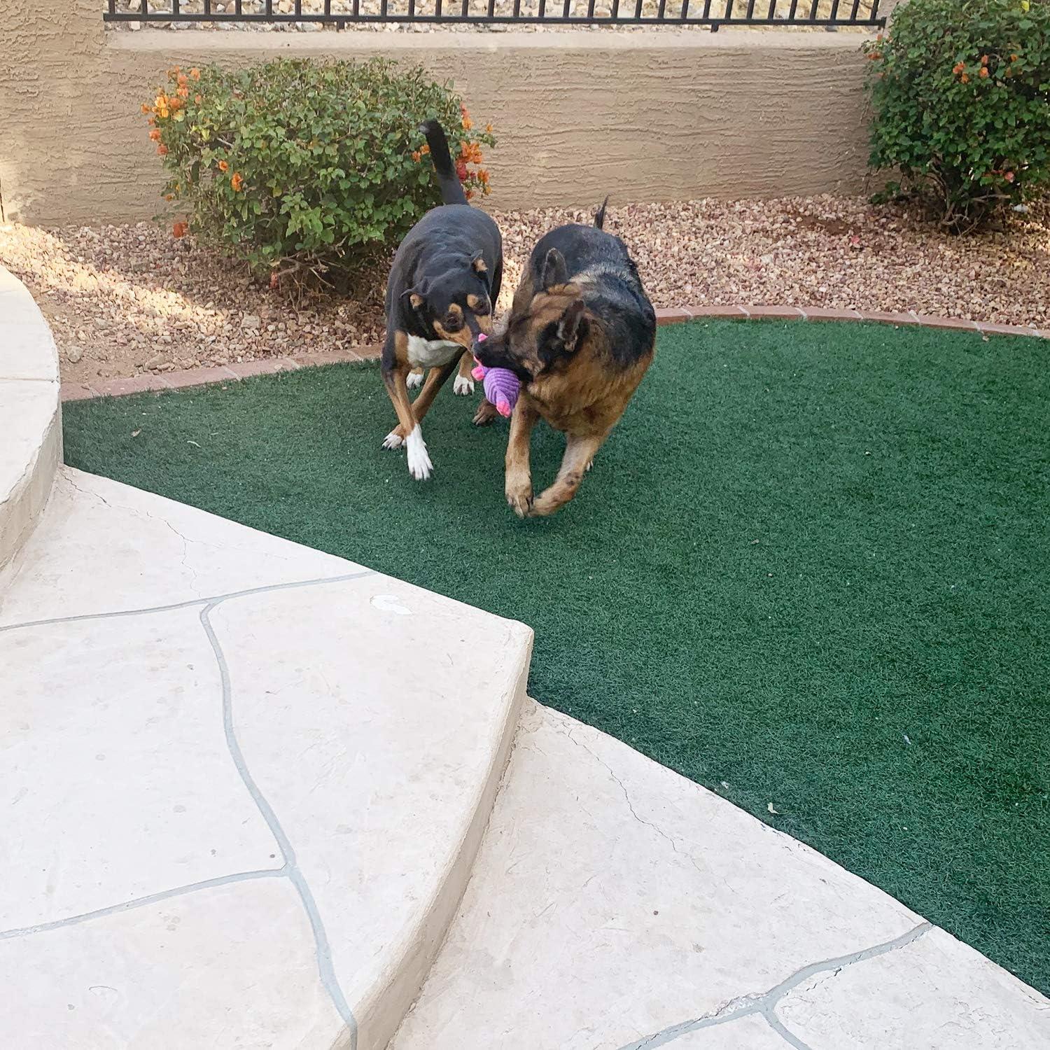 Paquete de 5 Juguetes de Peluche Jalousie para Perros