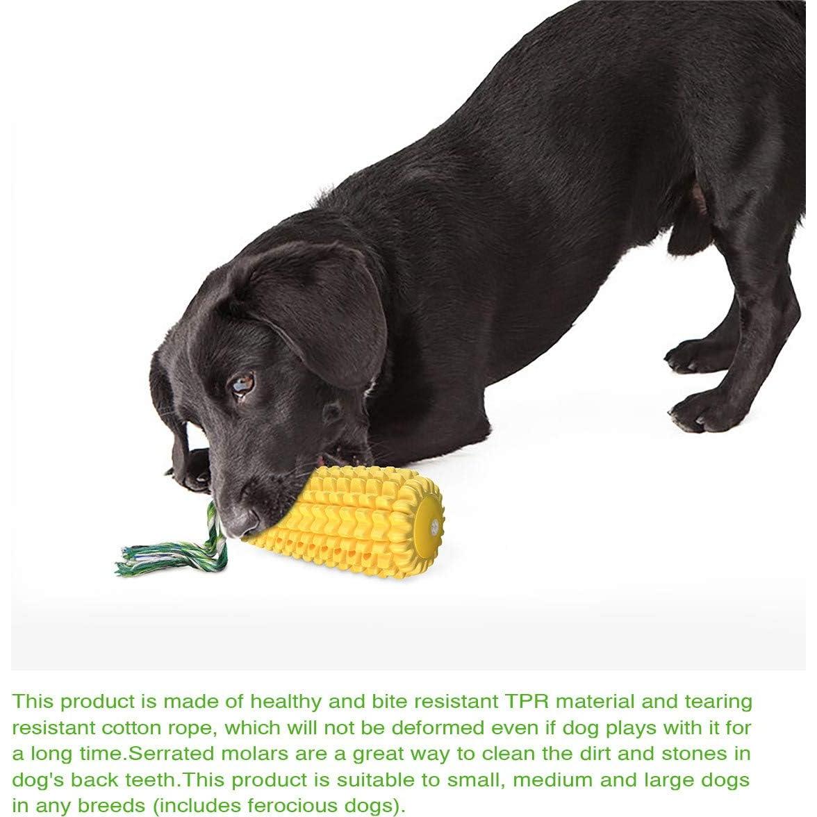 Juguete para Masticar Perros Carllg 14.7cm Indestructible