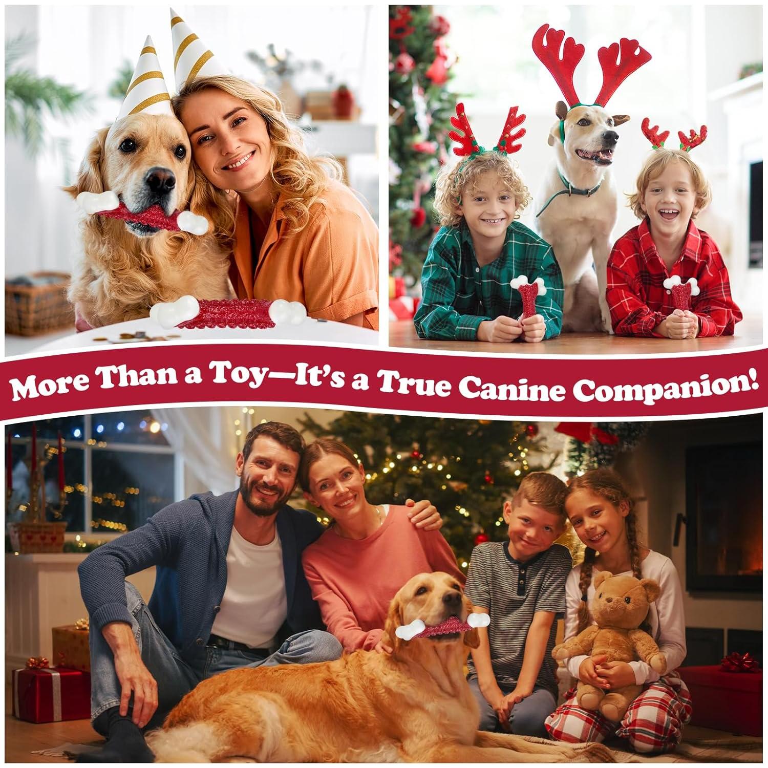 Juguete Hueso de Nylon Kseroo para Perros Grandes 1 Unidad