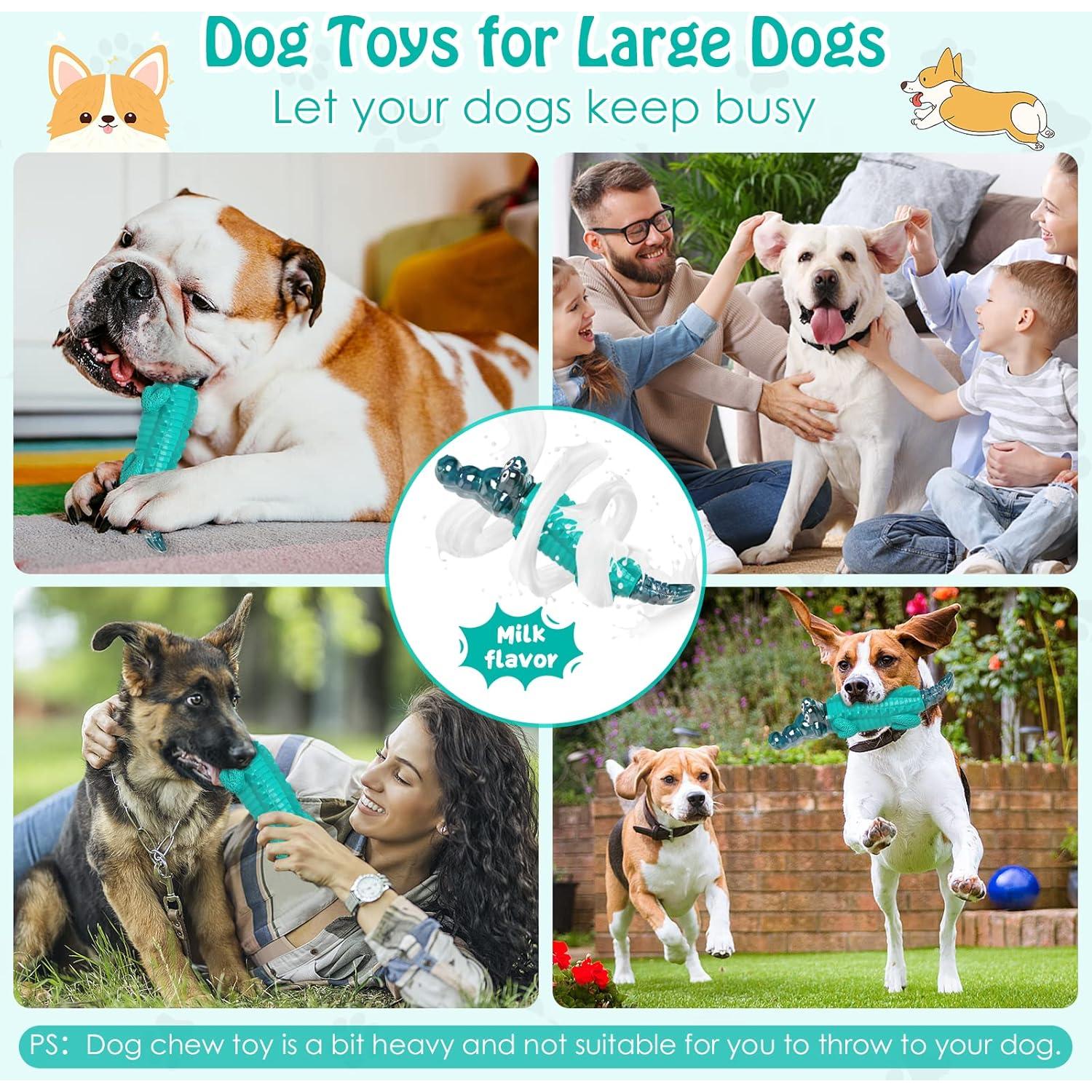 Juguete para Perros Jeefome Indestructible 23,88 cm Azul