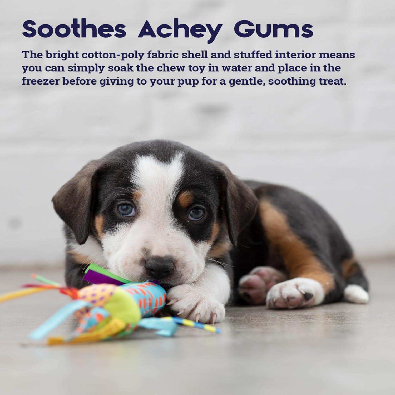 Stick de Dentición Frío Petstages para Perros - 23x13.5 cm