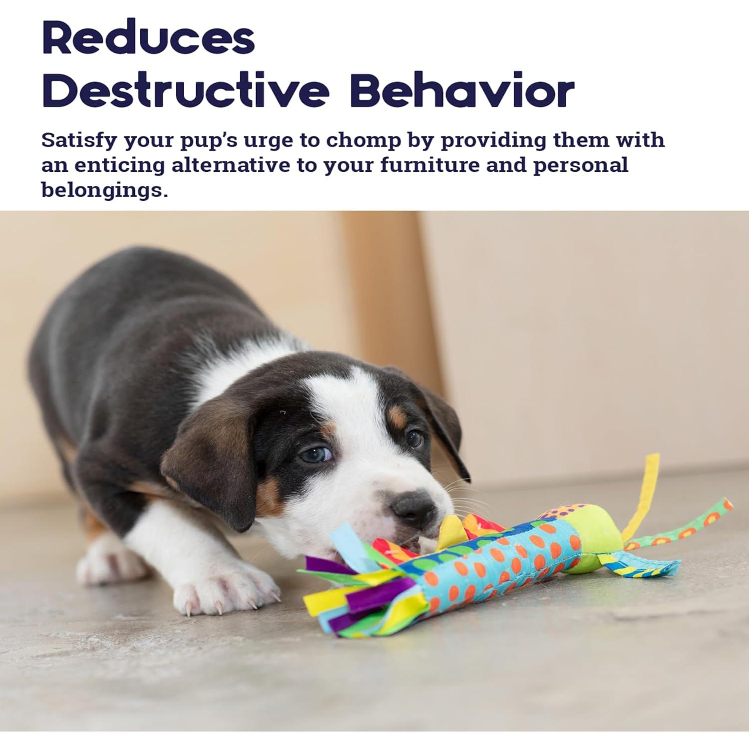 Stick de Dentición Frío Petstages para Perros - 23x13.5 cm