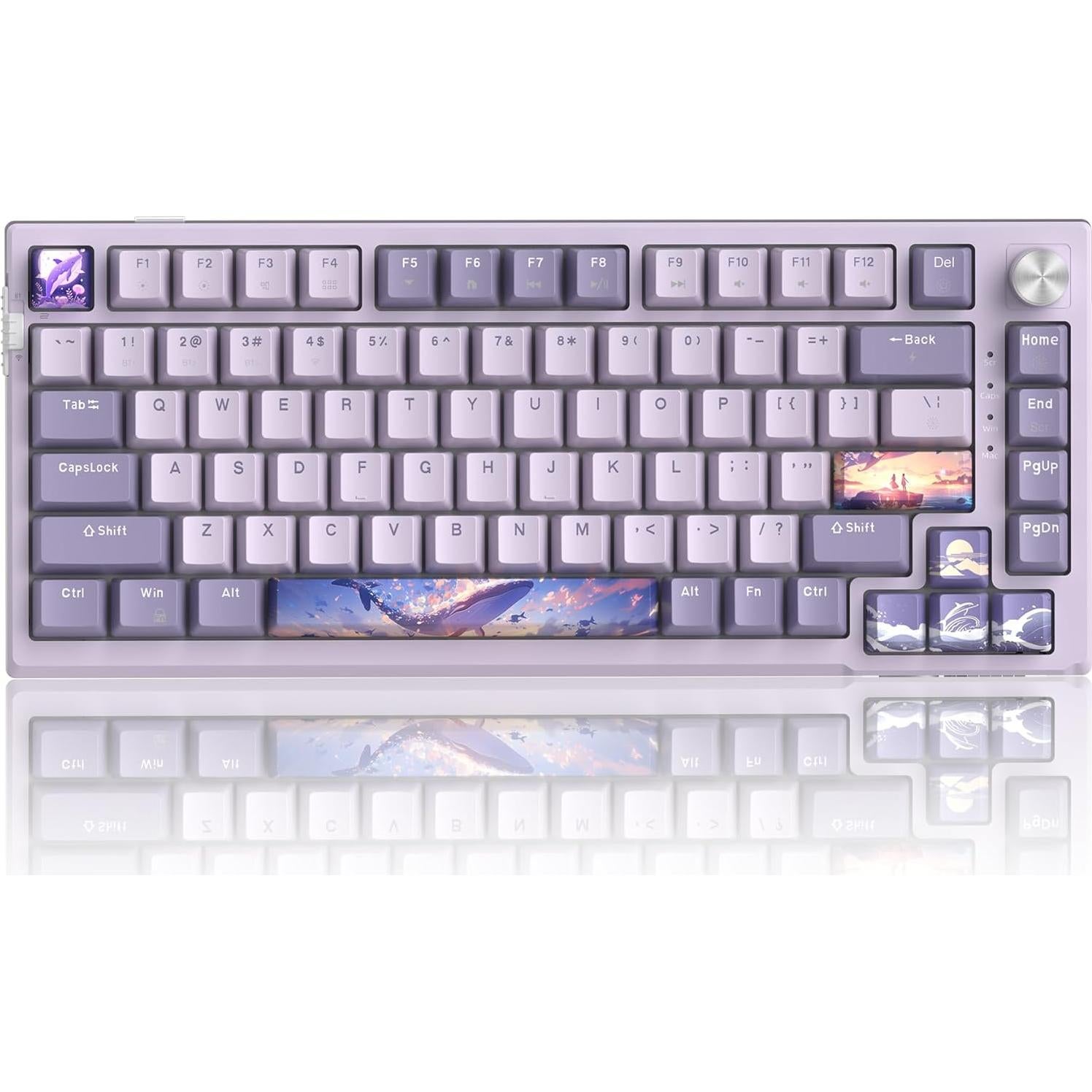 Teclado Mecánico Inalámbrico MageGee SKY81 75% RGB Violeta