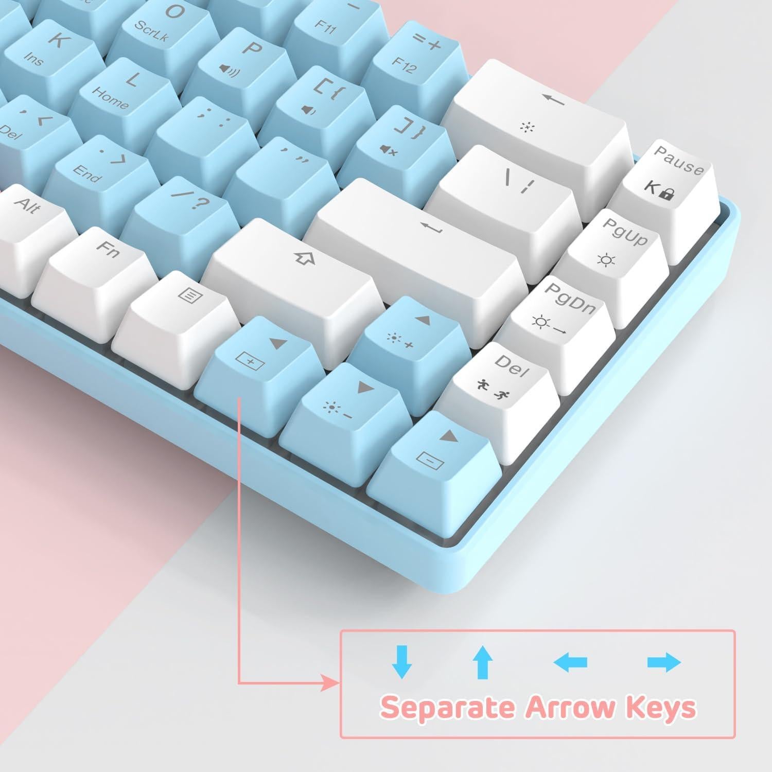 MANBASNAKE MK14 60% Mechanical Gaming Keyboard, Compact 68 Keys Mini Wired USB Keyboard, Anti-ghosting Blue Switches RGB Backlit for Laptop/PC Gamer