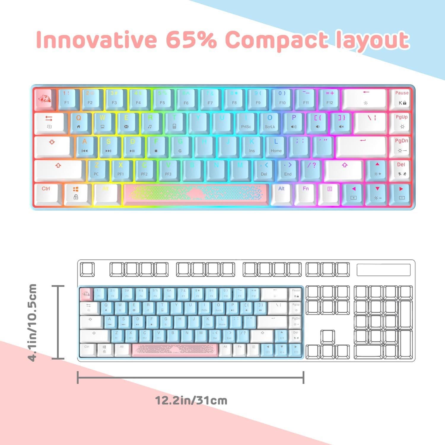 MANBASNAKE MK14 60% Mechanical Gaming Keyboard, Compact 68 Keys Mini Wired USB Keyboard, Anti-ghosting Blue Switches RGB Backlit for Laptop/PC Gamer