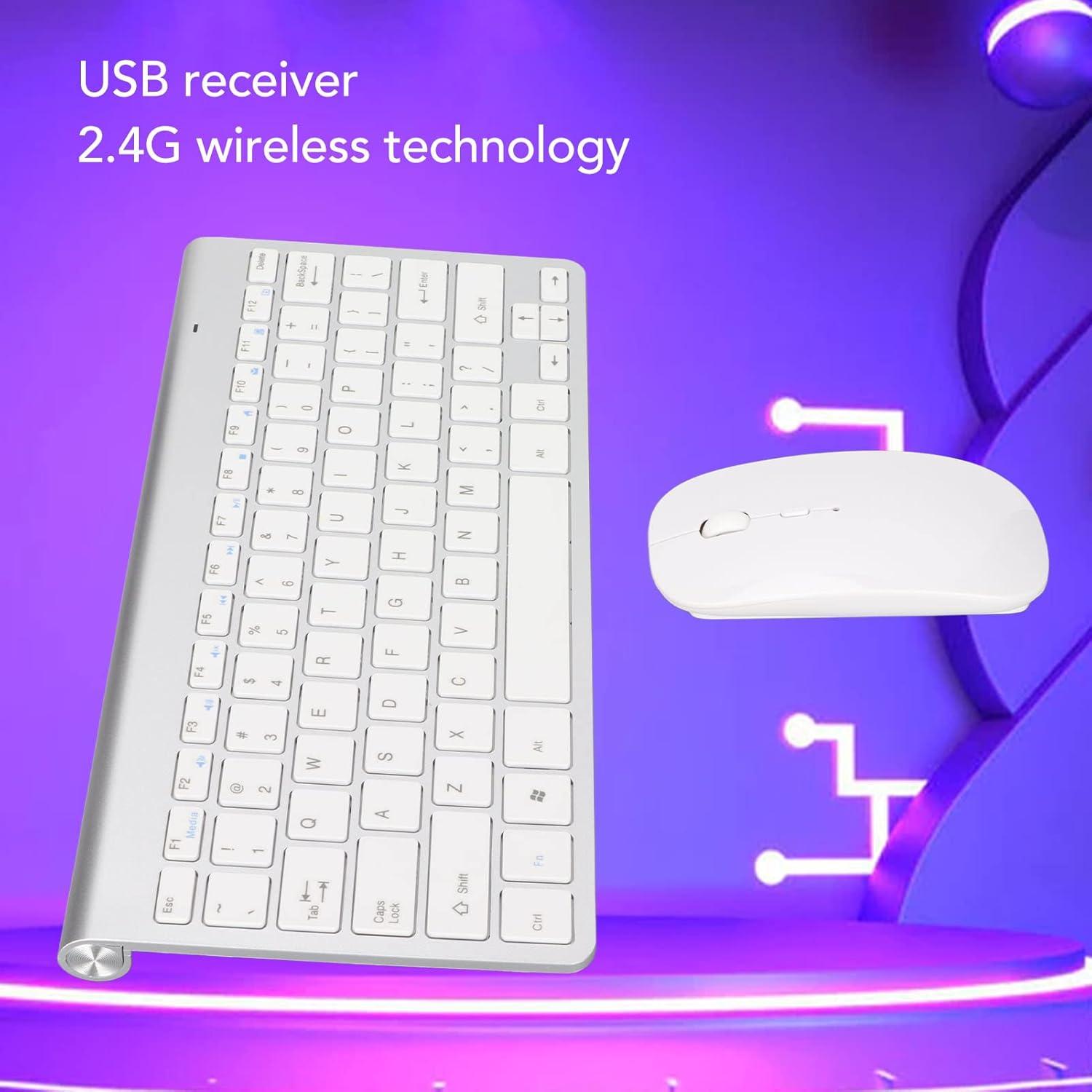 Conjunto Teclado y Ratón Ergonómico Cuifati Plata USB 2.4G