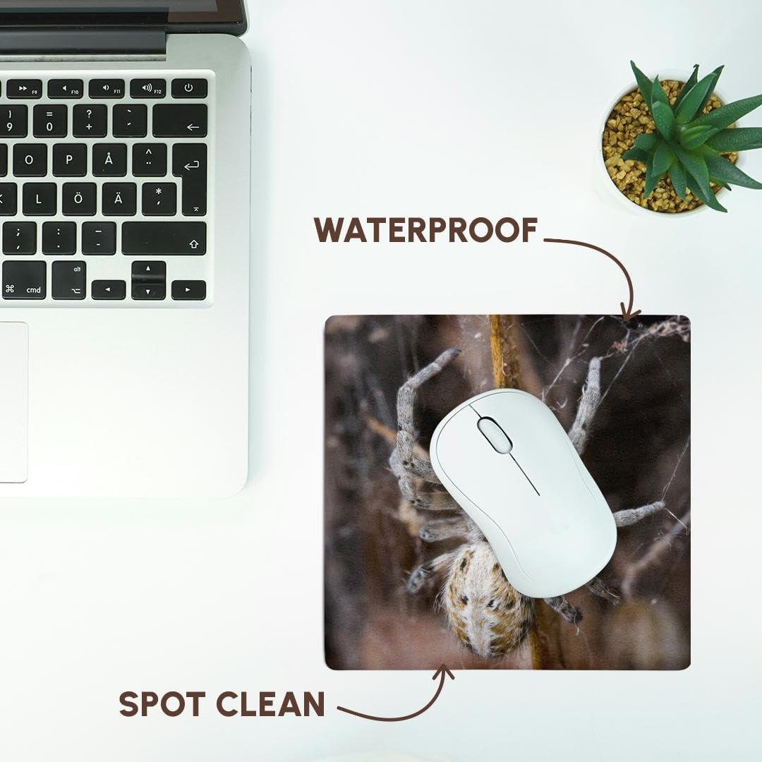 Alfombrilla de Ratón 3dRose 20.32x20.32cm Namibia Araña