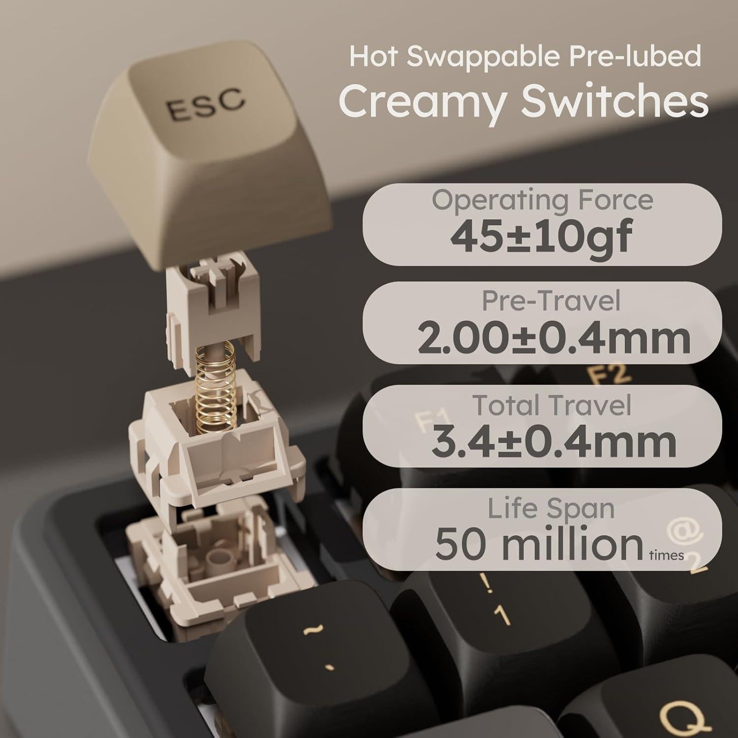 Teclado Mecánico RK Royal Kludge R87 Pro TKL 88 Teclas RGB