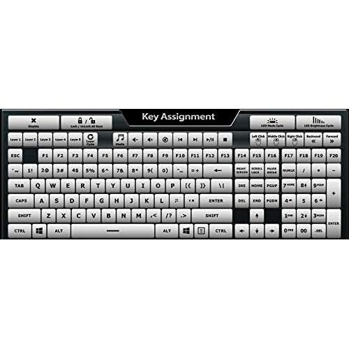 Teclado mecánico programable Max Keyboard Falcon-20 RGB