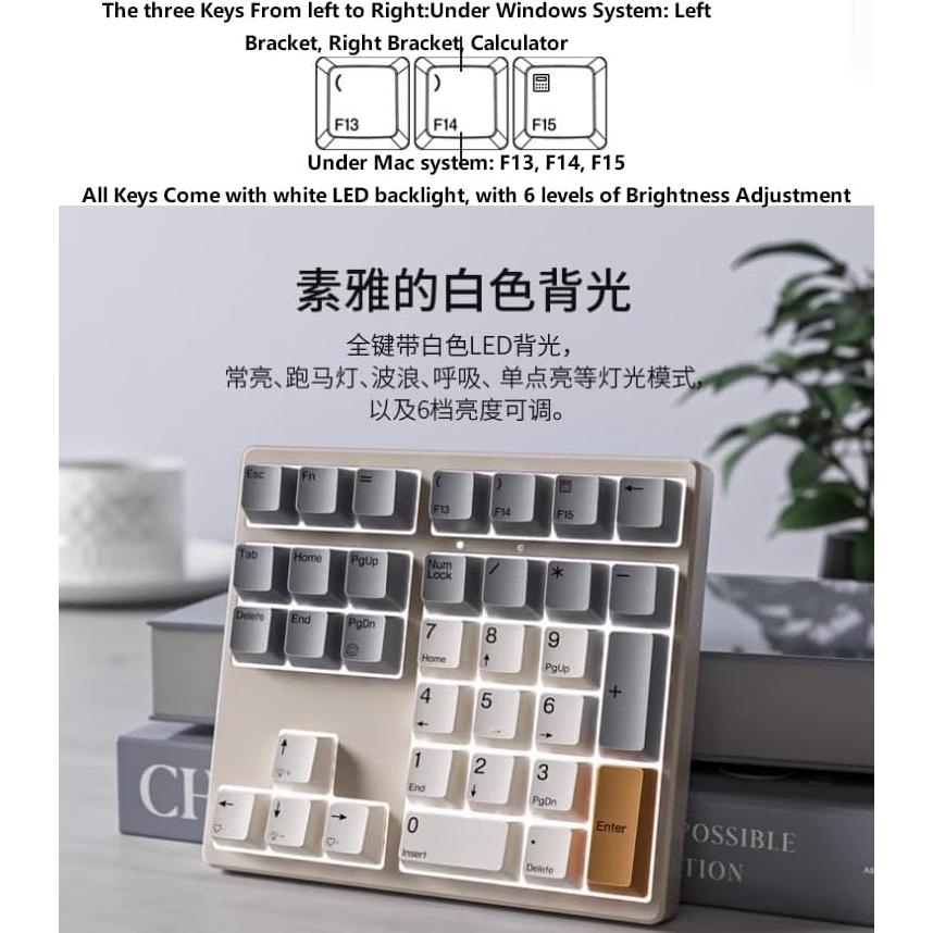 SIKAI CASE Mechanical Number Pad, 34 Key Hot Swappable Numpad Wired USB C Numeric Keypad with PBT Keycaps White Backlit Adjustable Keypad for Laptop, MacBook,PC Desktop(White Backlit)