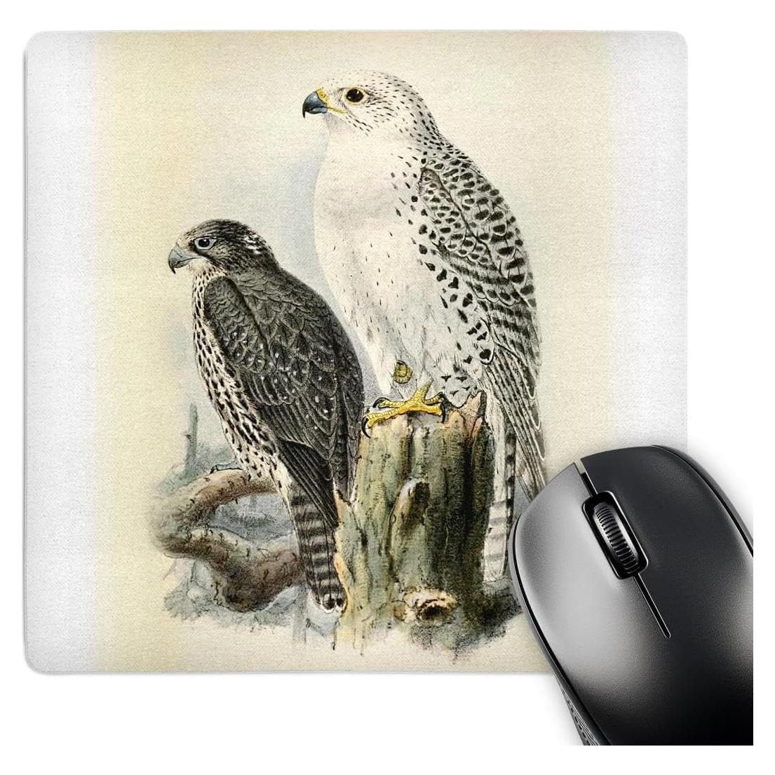 3dRose, White Gyrfalcon Gyr Falcon Birds of Prey Vintage Art Falconry Bird, Mouse Pad