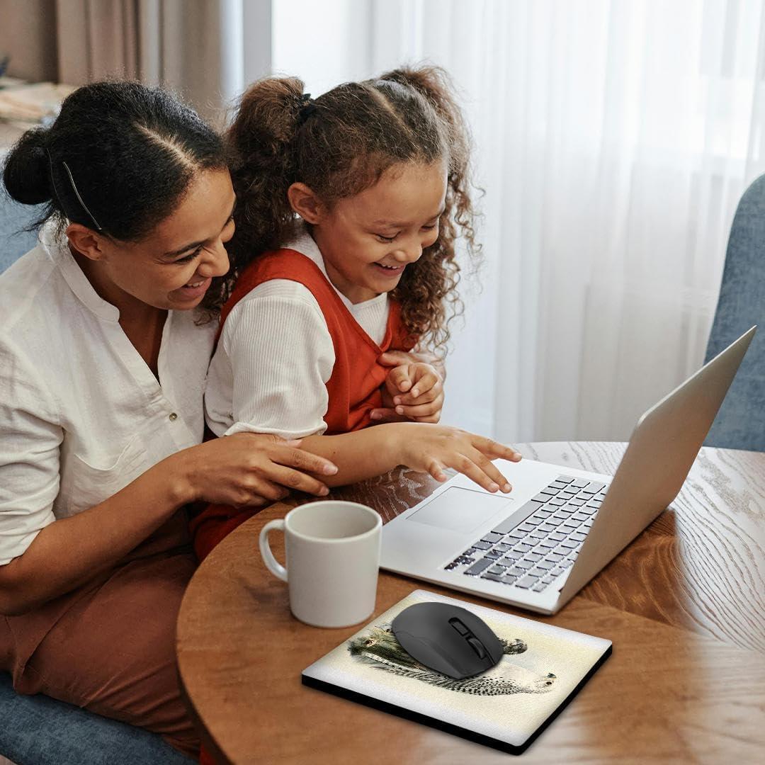 3dRose, White Gyrfalcon Gyr Falcon Birds of Prey Vintage Art Falconry Bird, Mouse Pad