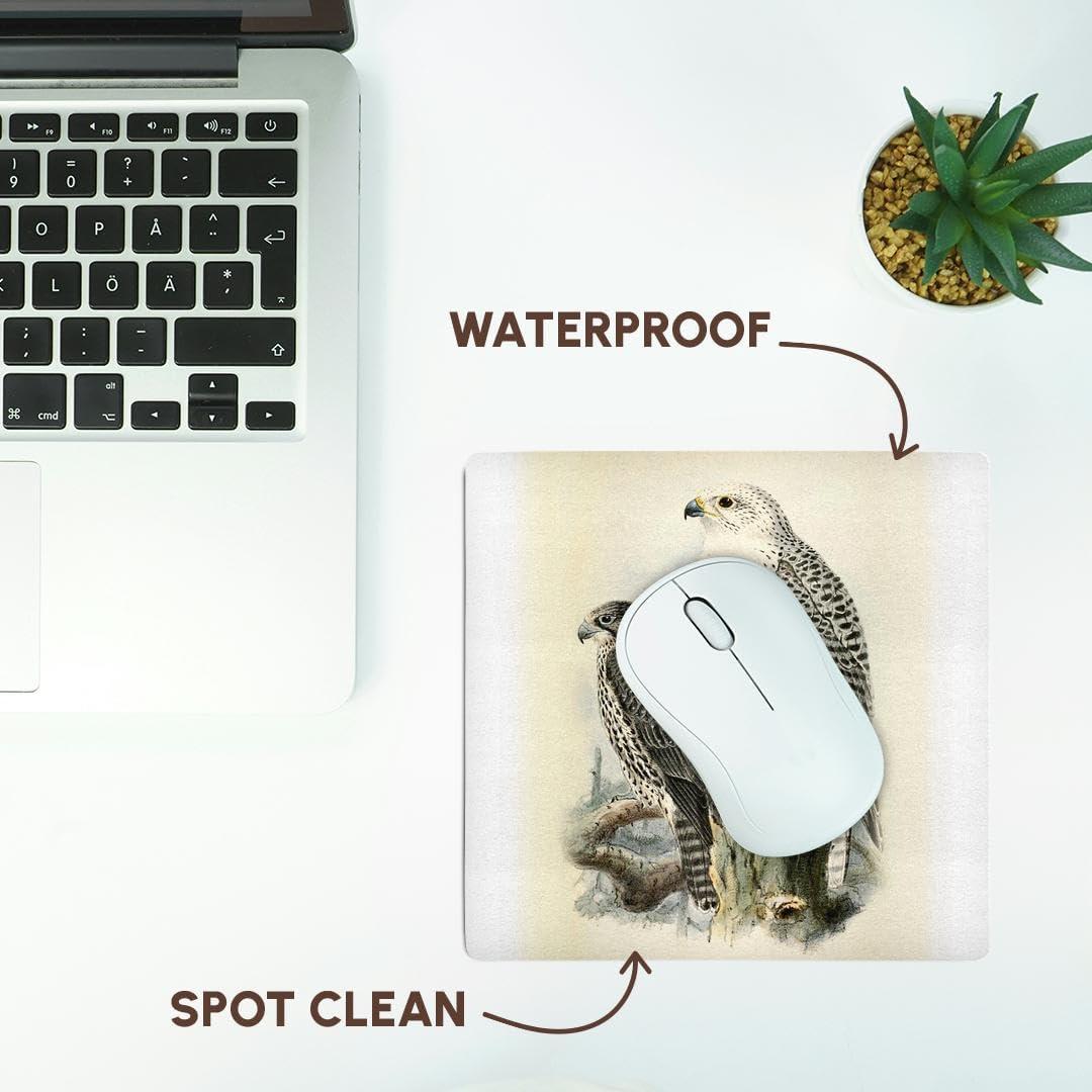 3dRose, White Gyrfalcon Gyr Falcon Birds of Prey Vintage Art Falconry Bird, Mouse Pad