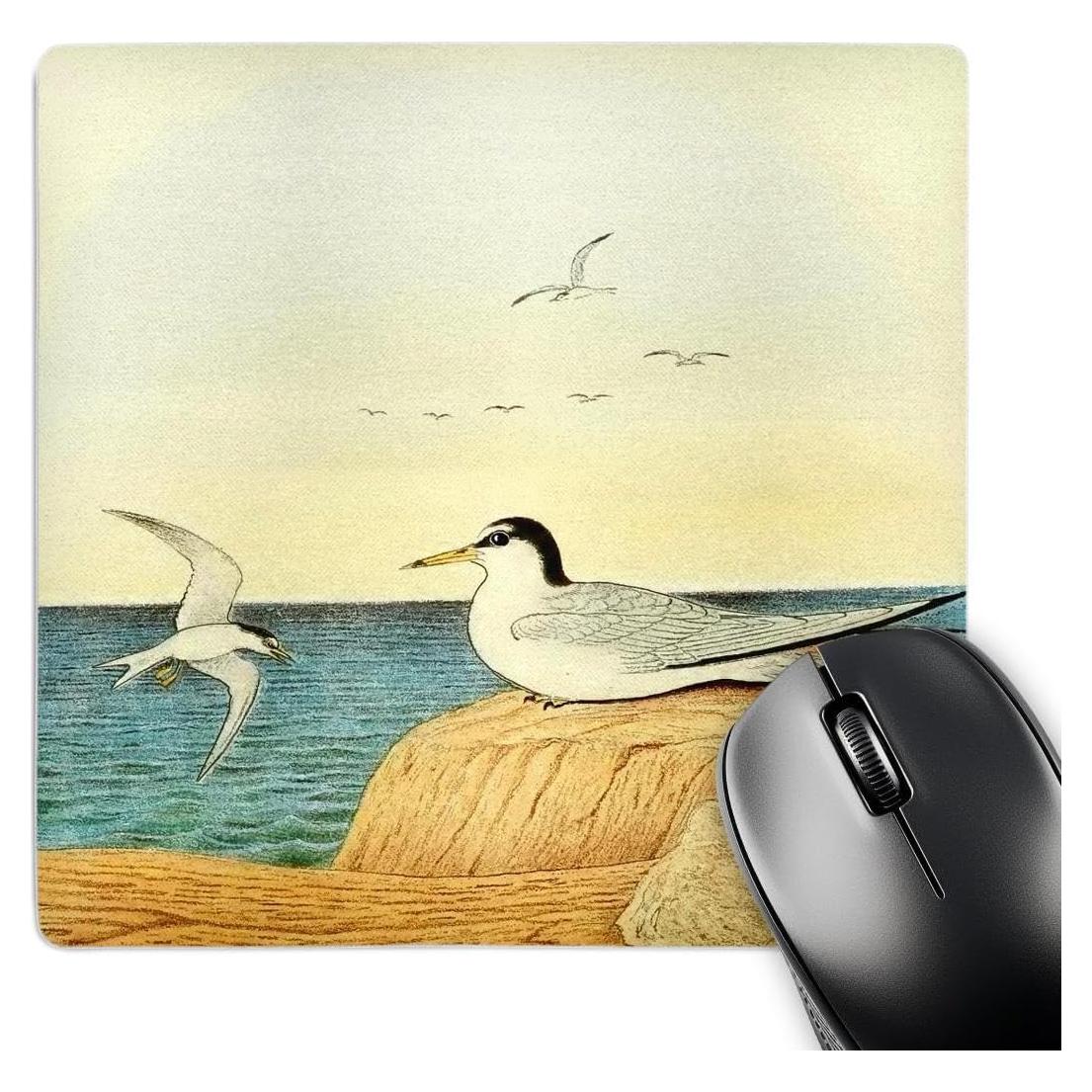 Alfombrilla para Ratón 3dRose Vintage Pájaro Least Tern 20.32cm