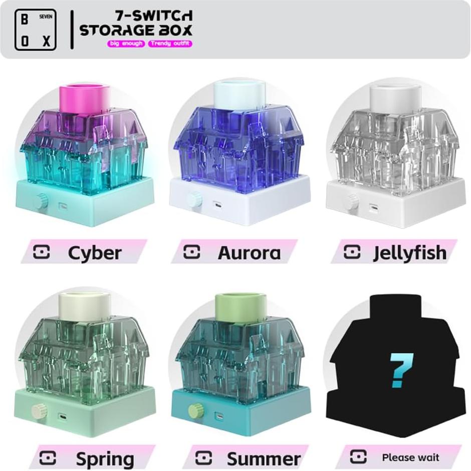 Caja de Almacenamiento de Interruptores Kailh 7x Cibernético