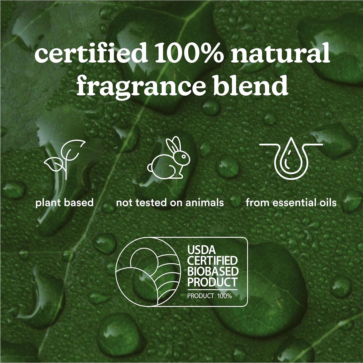 Aceite de Fragancia Marroquí Homedics SereneScent 120ml