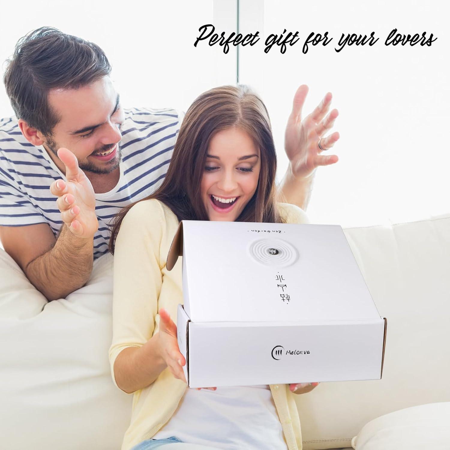 Jardín Zen Melonva para Escritorio - 24.1cm con 4 Esferas