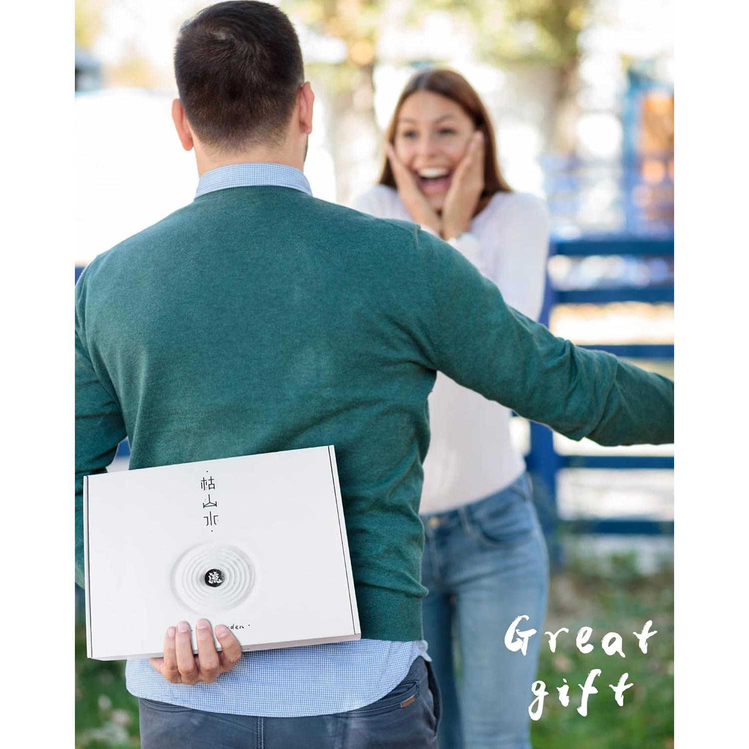 Jardín Zen Japonés de Escritorio Life Flows 30.48x20.32 cm