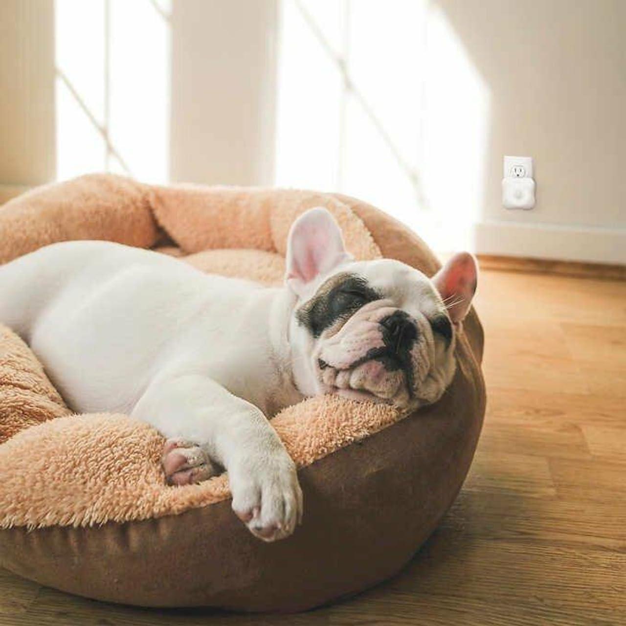 Desinfectante de Aire Personal UV-C HoMedics TotalClean 11cm