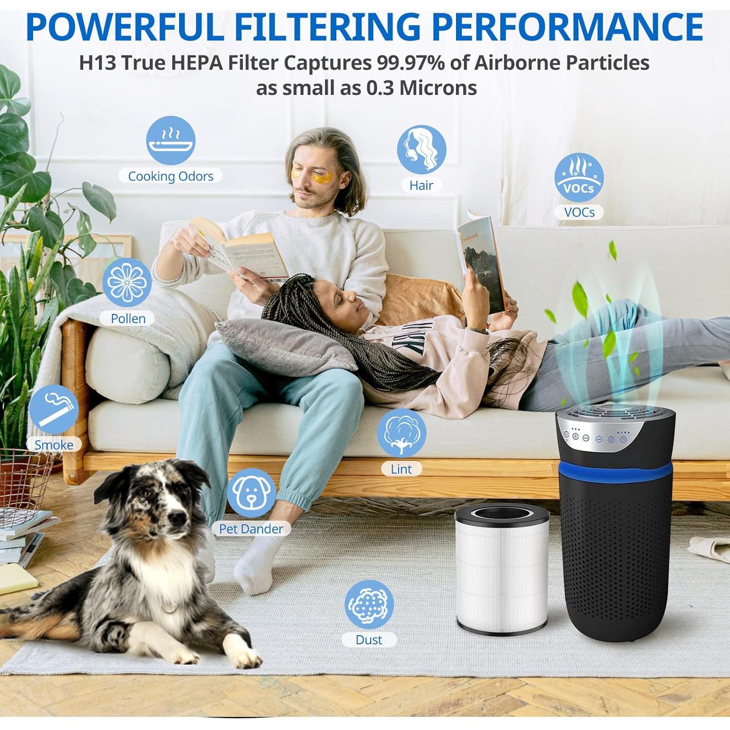 Filtro de Reemplazo HEPA JORAIR AP-T20FL para Purificador