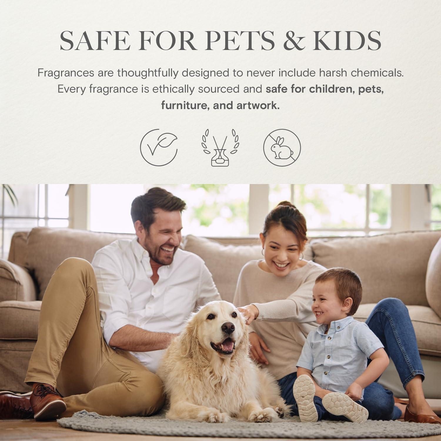 Aceite Difusor Scentiment 20ml | Aromas Lujosos 5 Estrellas