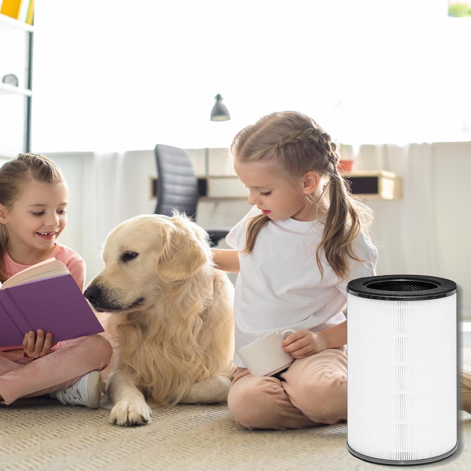 Filtro HEPA Verdadero AP-T45 para Purificador HoMedics 30x19.1cm