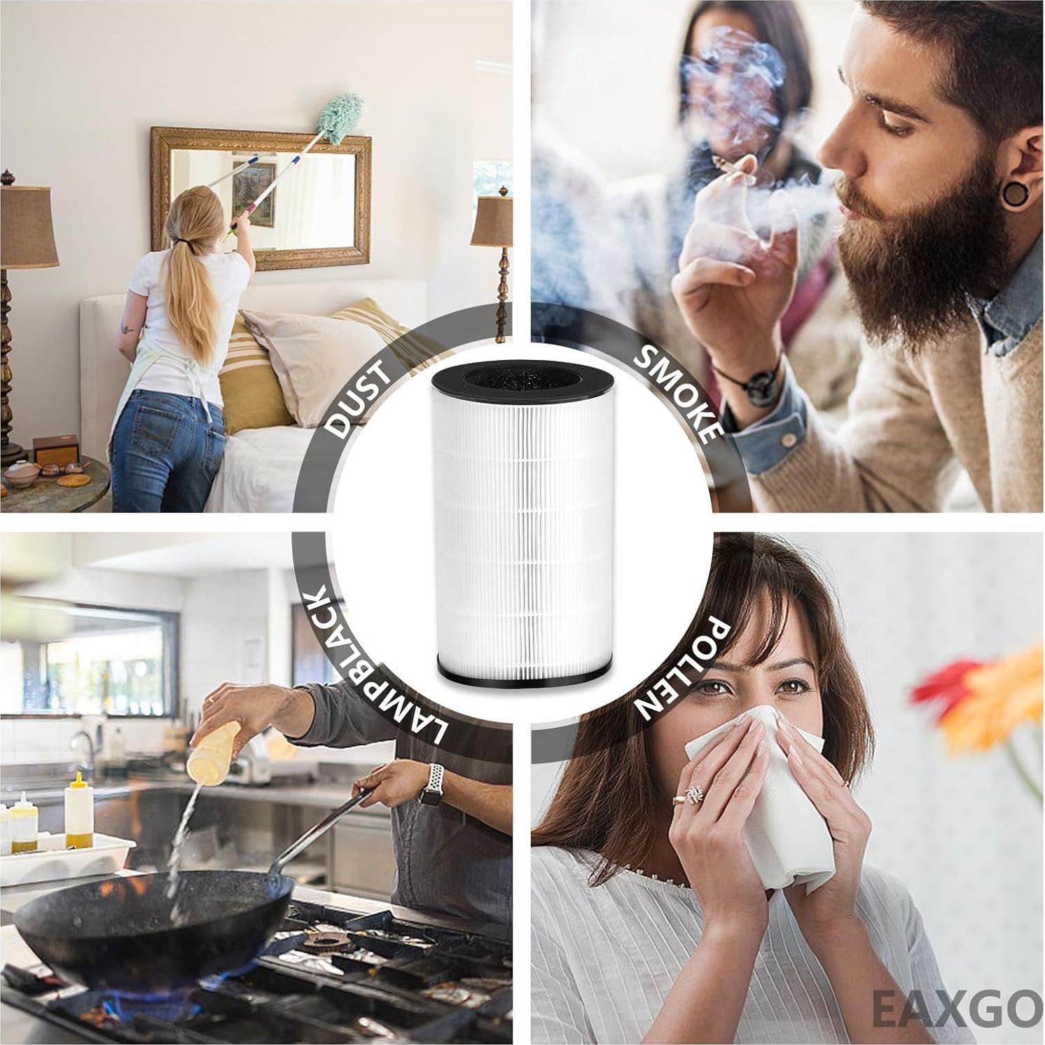 Filtro de Reemplazo EAXGO AP-PET35/AP-T30 HEPA H13 1 Paquete