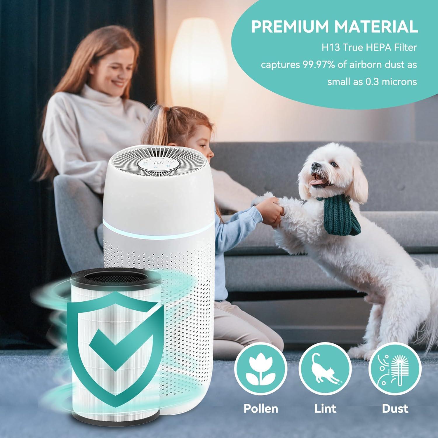 Filtro de Reemplazo Isingoione AP-T30 para Purificador HoMedics