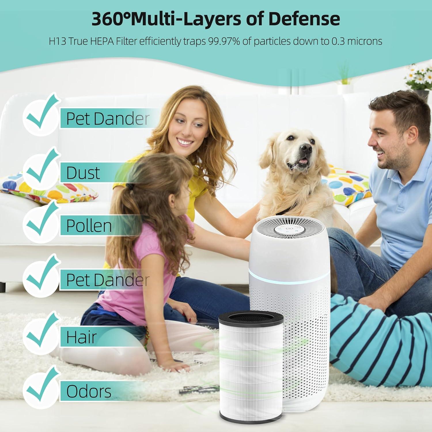 Filtro de Reemplazo Isingoione AP-T30 para Purificador HoMedics