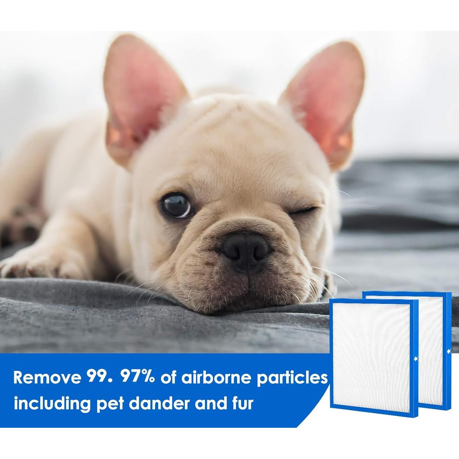 Filtro de Reemplazo Cabiclean AF-20 para Purificador HoMedics