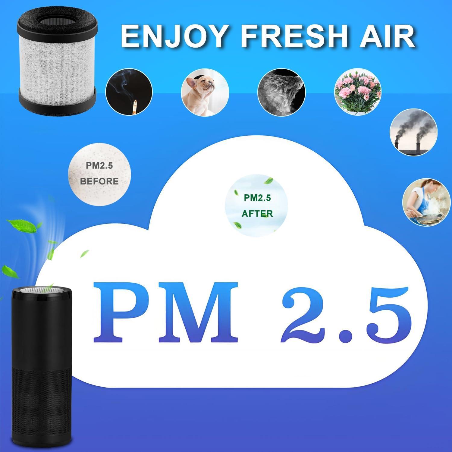 Filtro HEPA H13 de Reemplazo CAN-MEAGEREN para Purificador AP-P60