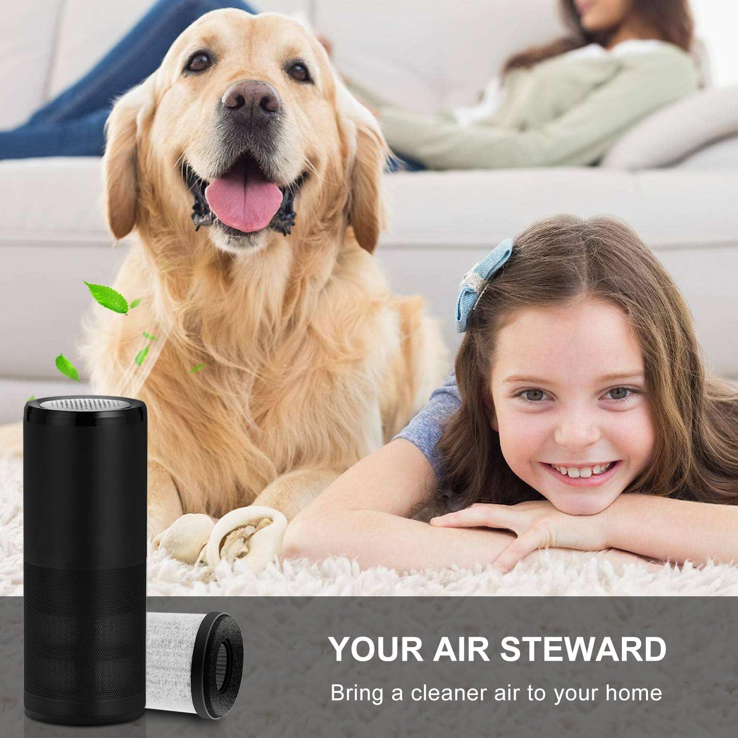 Filtro HEPA H13 de Reemplazo CAN-MEAGEREN para Purificador AP-P60