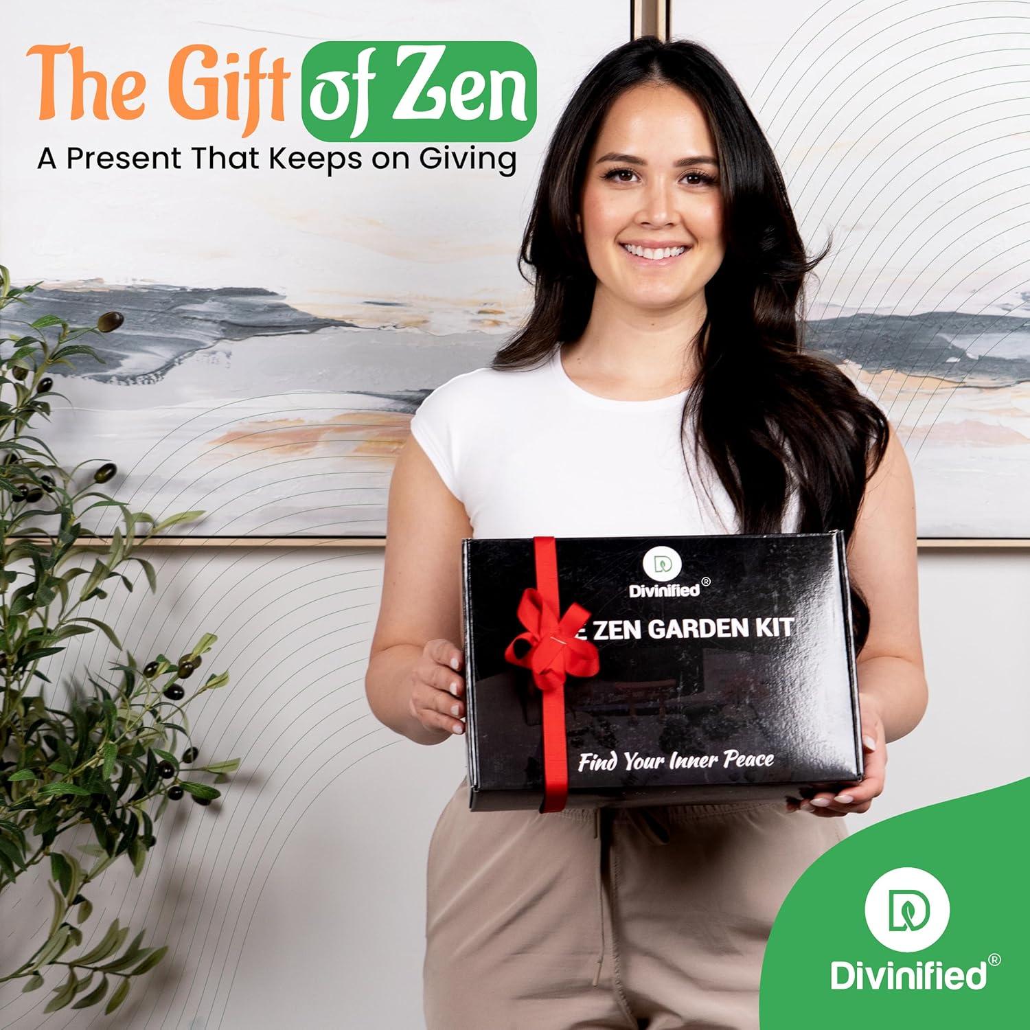 Jardín Zen Japonés D Divinified - Kit de Relajación 27.94x20.32 cm