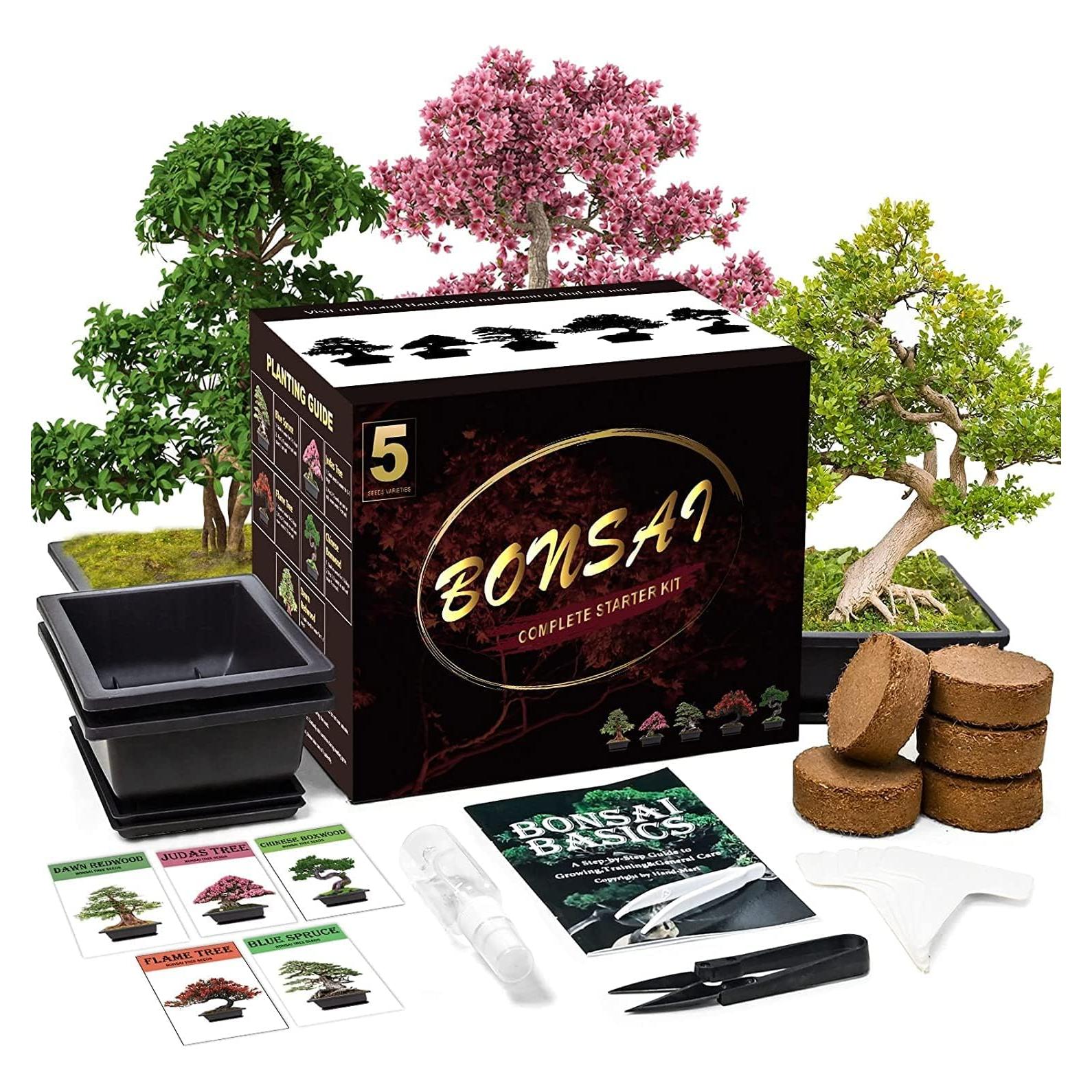 Kit de Bonsai Completo Meekear - 5 Macetas, 4 Discos de Tierra