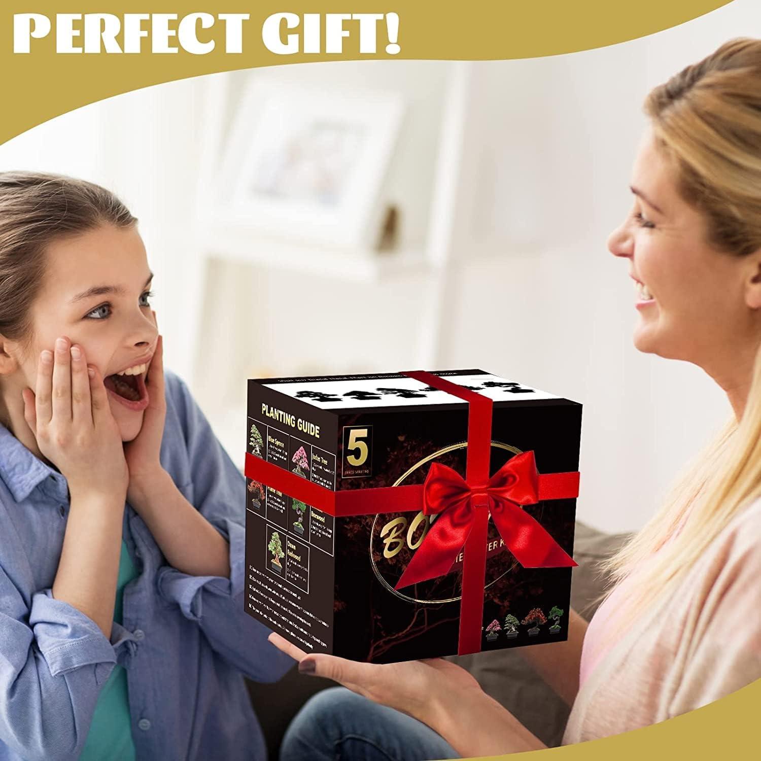 Kit de Bonsai Completo Meekear - 5 Macetas, 4 Discos de Tierra