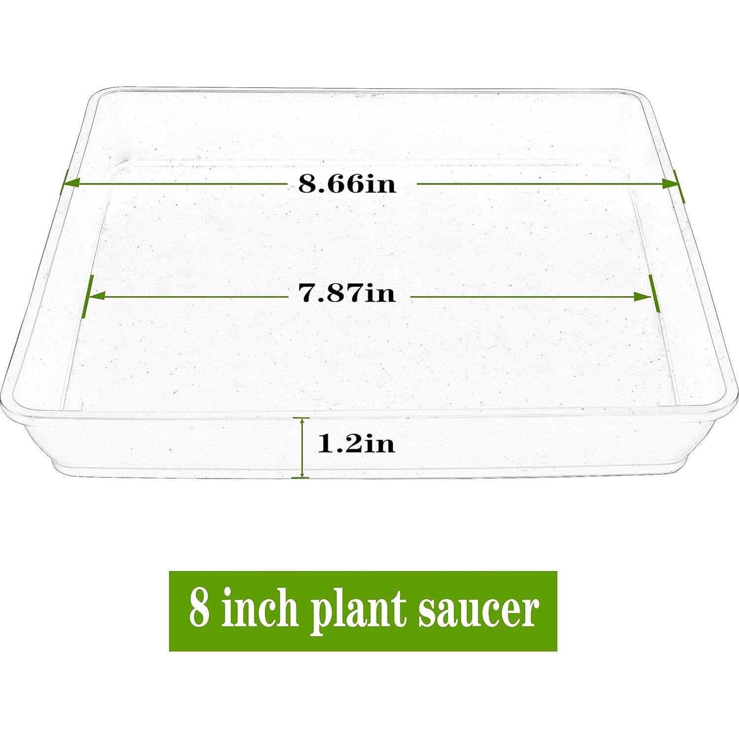 Plato Cuadrado para Plantas 20 cm - 5 Unidades LWALRS