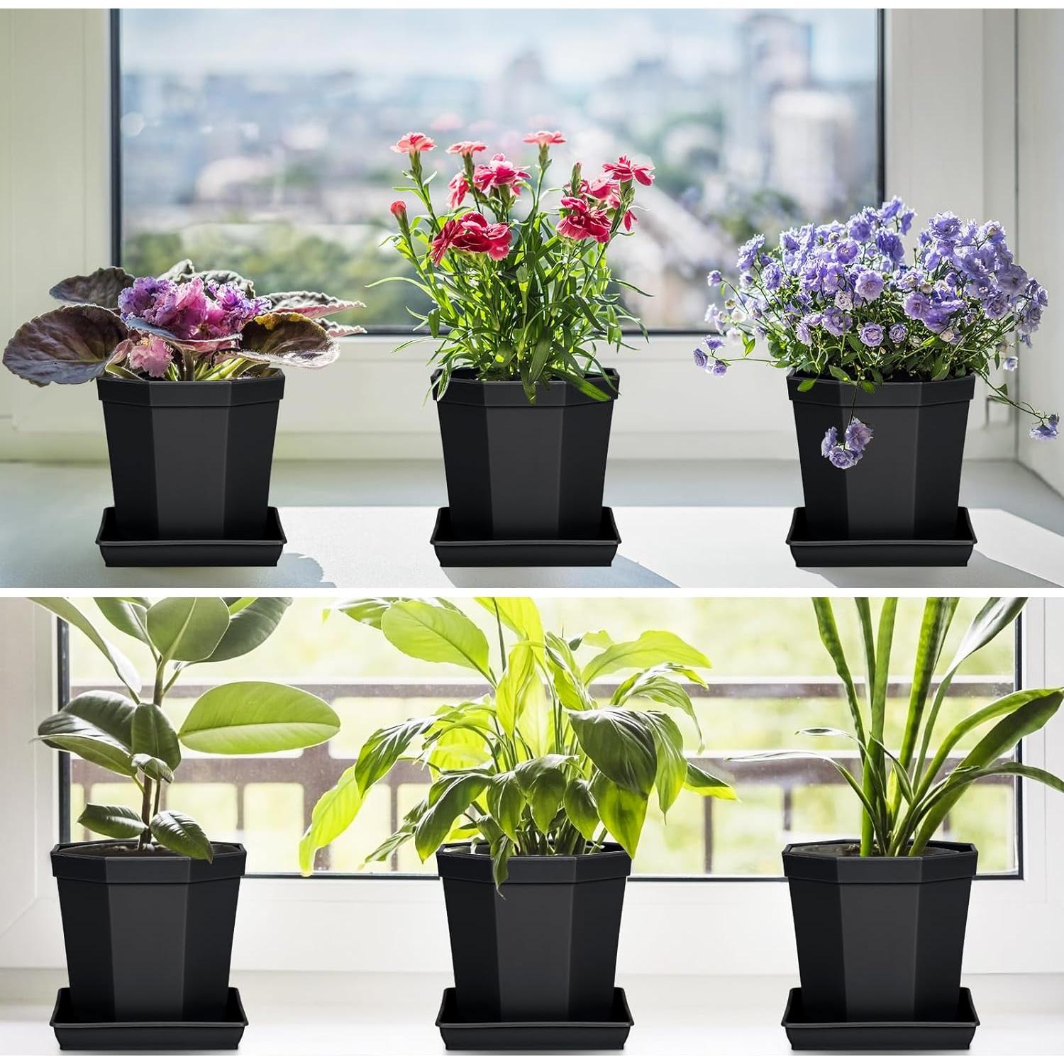 Plato Cuadrado para Plantas 20 cm - 5 Unidades LWALRS
