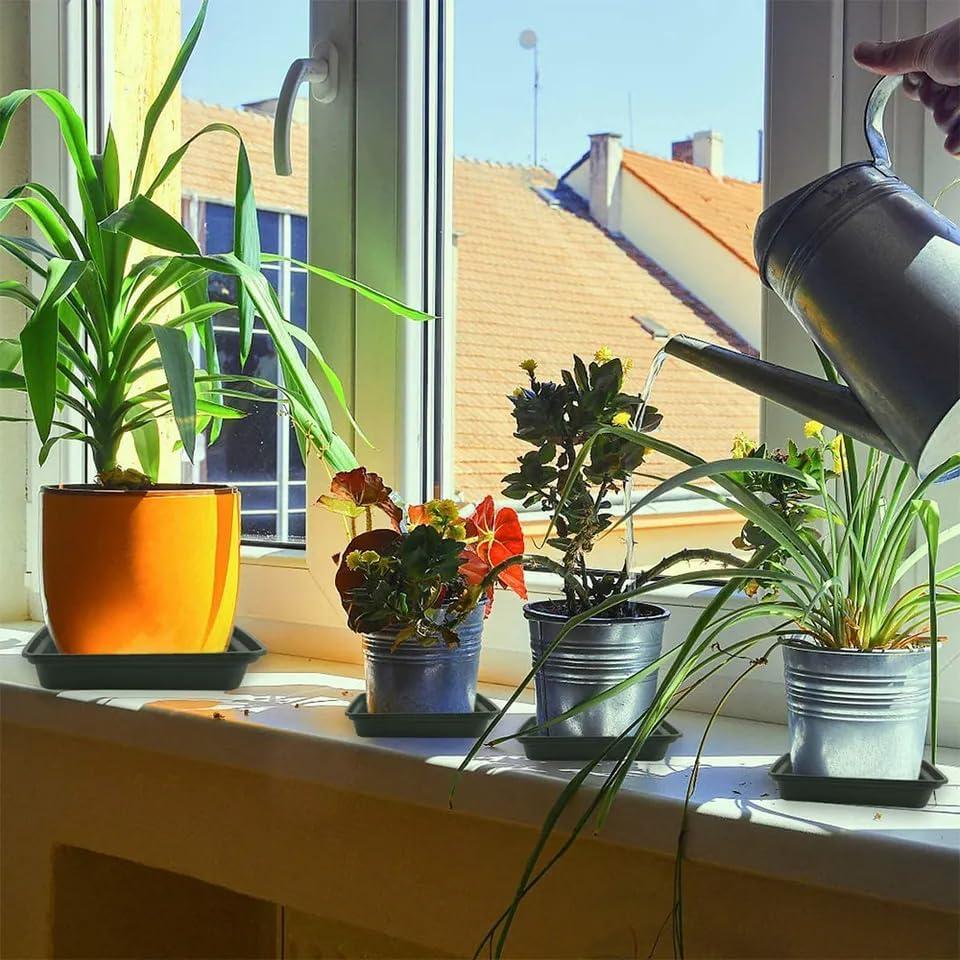 Plato Cuadrado para Plantas 20 cm - 5 Unidades LWALRS