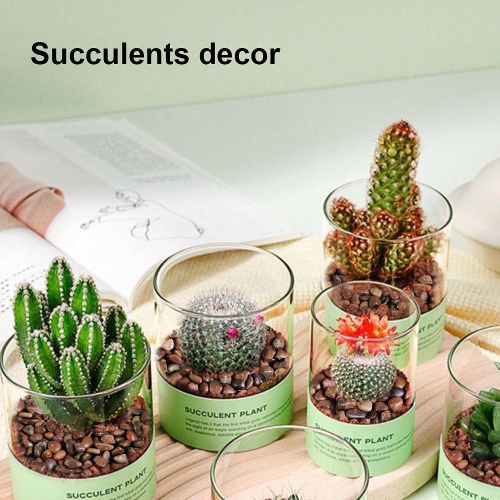 Rocas Rojas Pequeñas HappyFiller 8.16 kg para Acuarios y Jardín