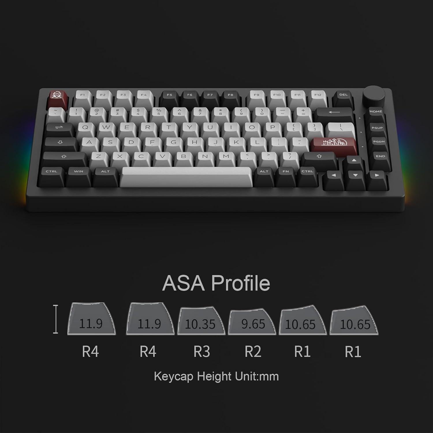 Teclado Mecánico Akko 5075B Plus Castillo Drácula RGB 75%