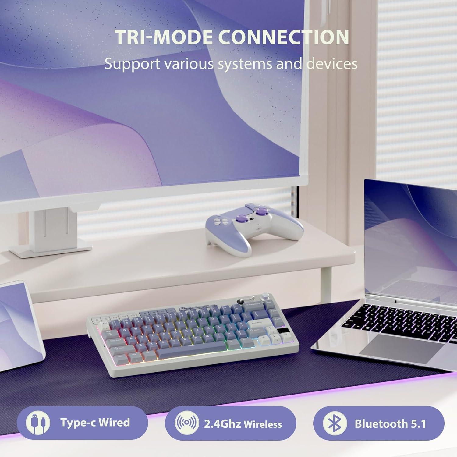 Teclado Mecánico Inalámbrico RK Royal Kludge M65 60% RGB