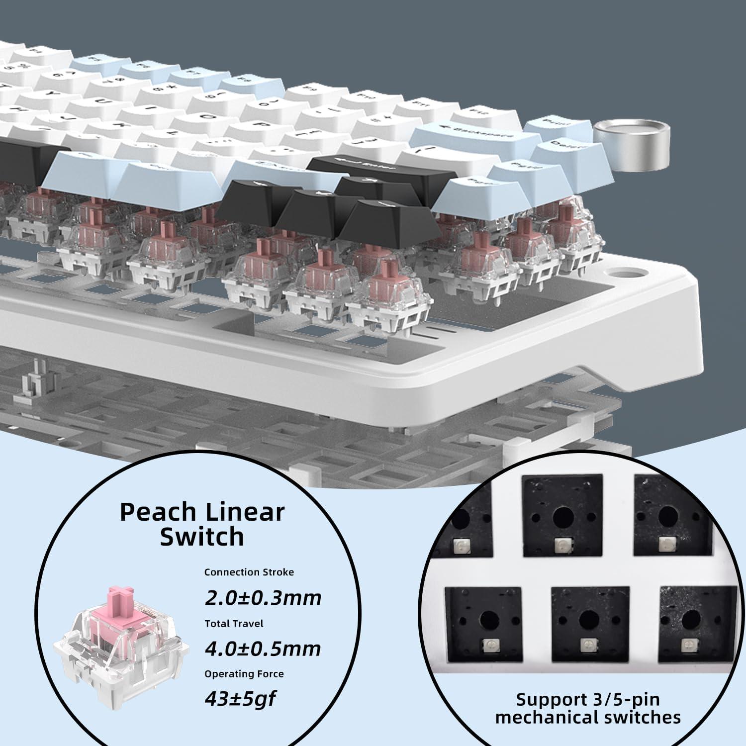 Teclado Mecánico 75% HELLO GANSS Hot Swappable RGB 81 Teclas