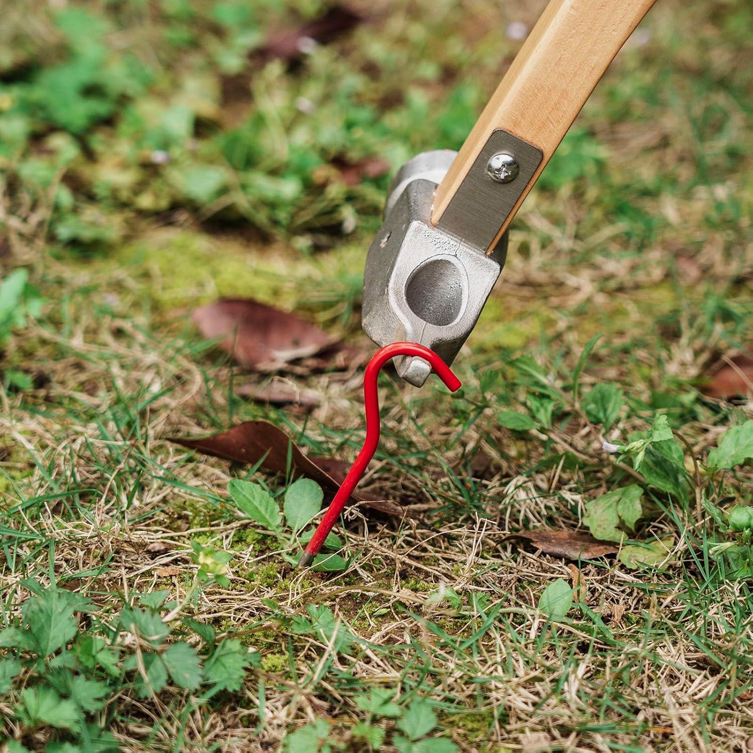 Estacas de Tienda de Camping iBasingo 8 Pcs Titanio 165mm