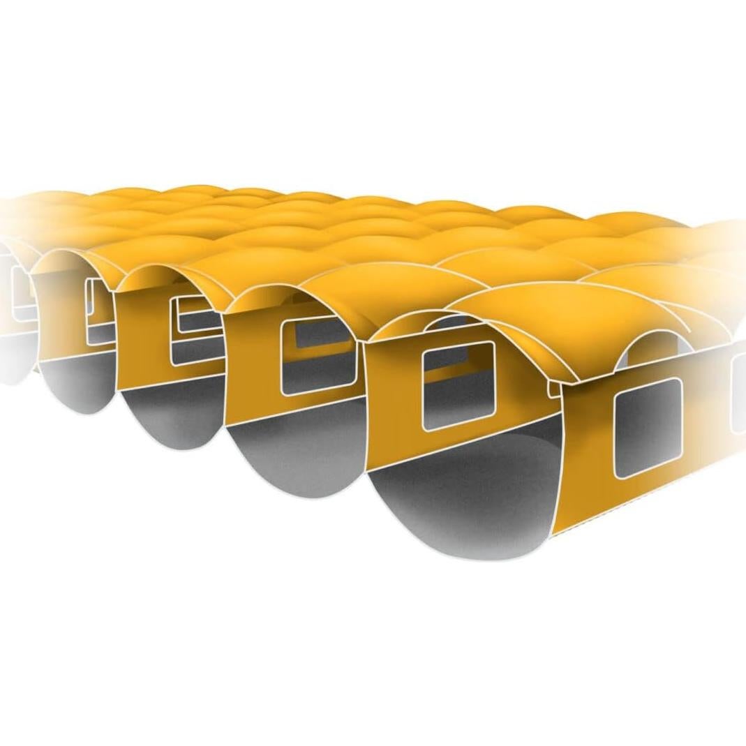 Nemo Equipment Tensor Mummy Orchid Insulated Dog Bed