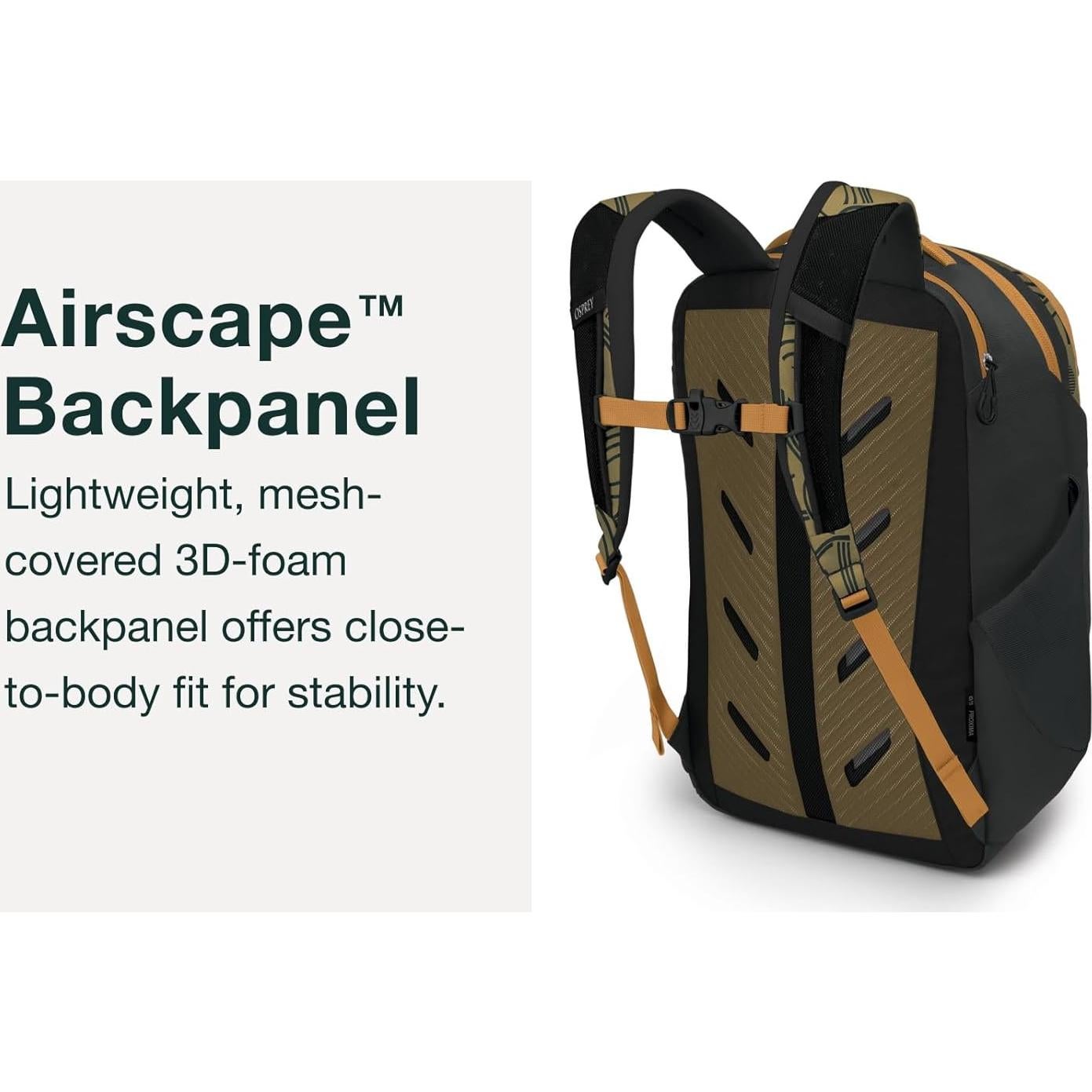 Proxima 30L Campus Laptop Backpack – Organized Everyday Pack with Tech Storage, Water Bottle Pockets, and Comfortable Carry – Perfect for School, Commute, and Travel, Black