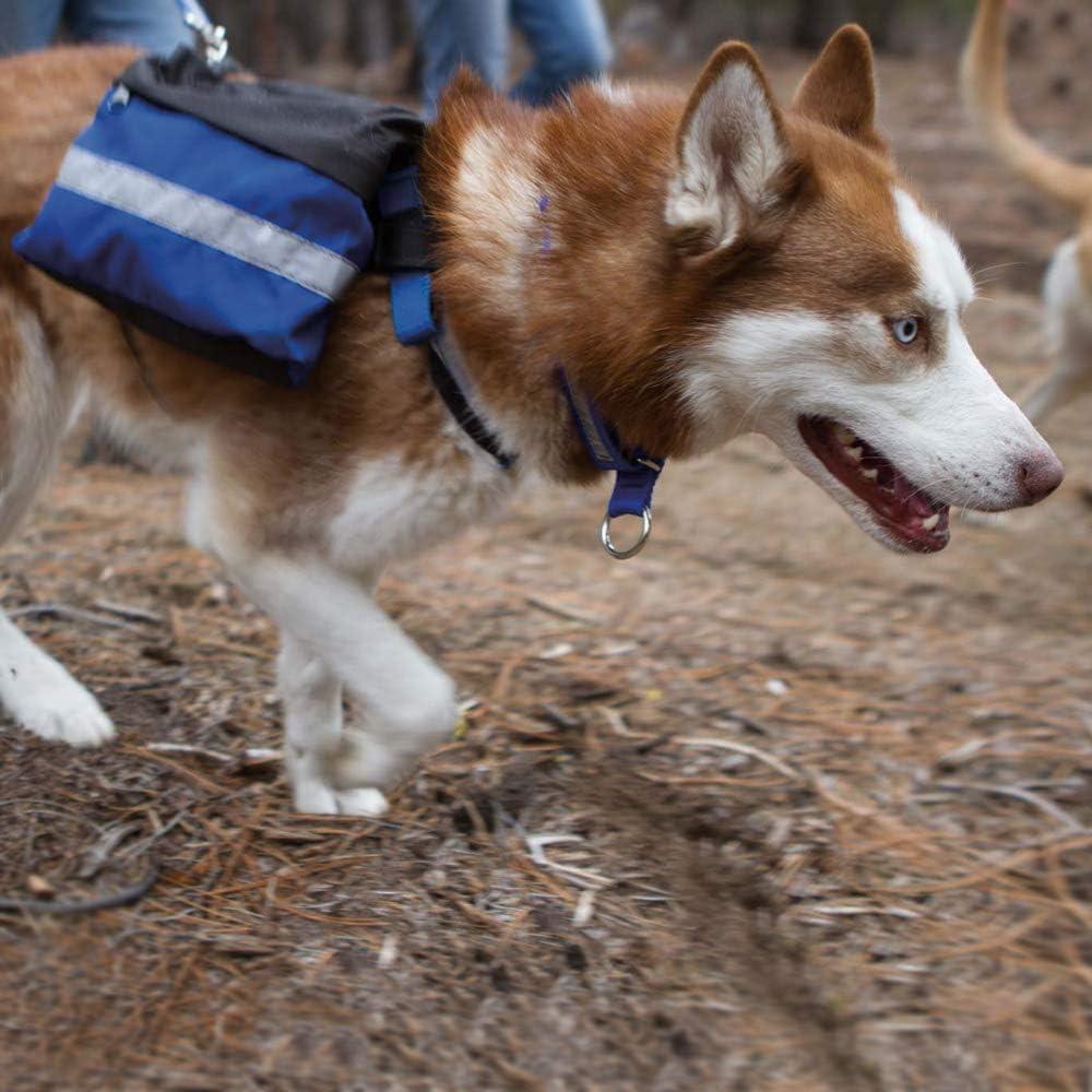 Mochila Urban Trail Grande Azul Alpine Outfitters