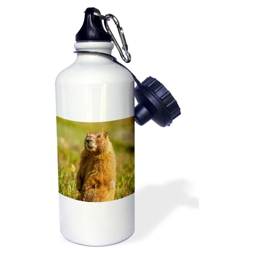 Botella de Agua Deportiva 3dRose 621ml Multicolor Marmota