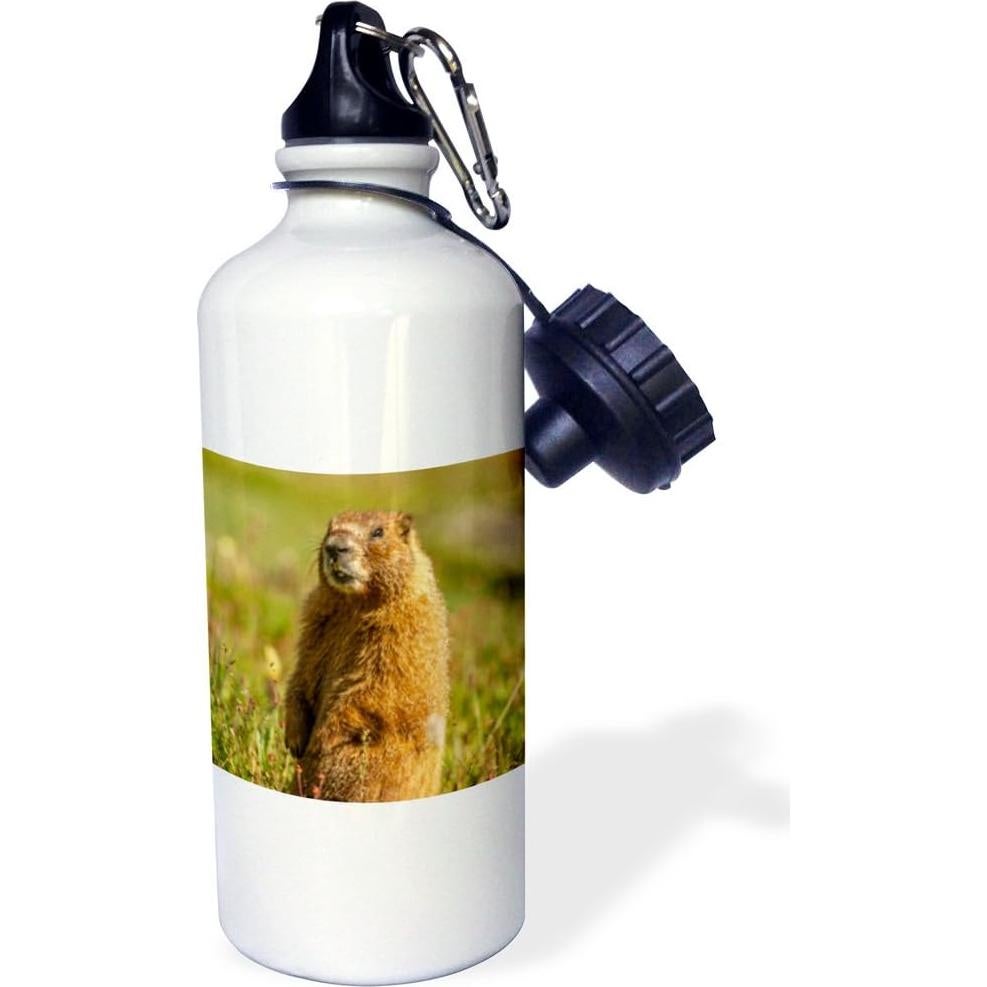 Botella de Agua Deportiva 3dRose 621ml Multicolor Marmota