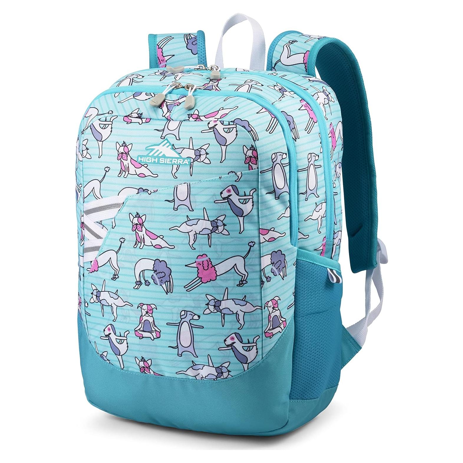 Mochila Esencial High Sierra Flexible Fetch 28L para Laptop